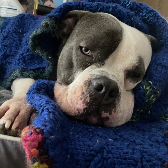 Meet your Posher, Helen - Picture 1 of 1